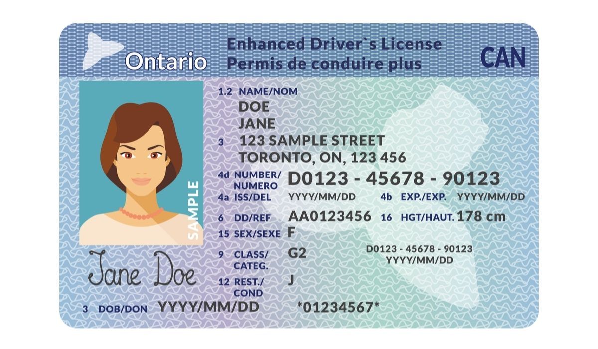 What Are the Different Classes of Driver's Licenses?