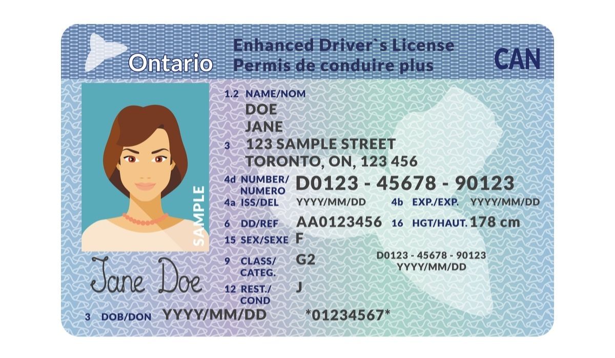 Simple Guide To RV Driver S Licenses In Canada 2024 RVezy   Canadian RV Driver S License 1 