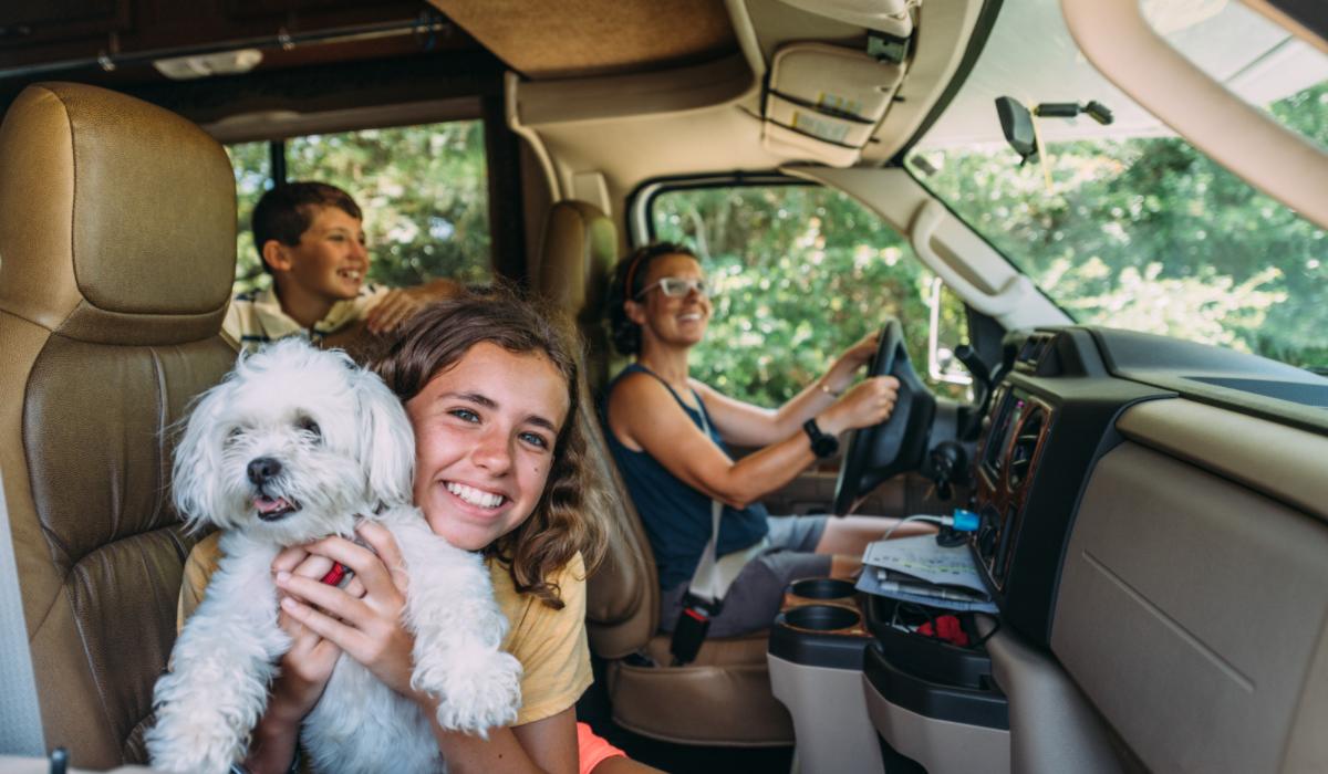 The Pros and Cons of RVing With Pets