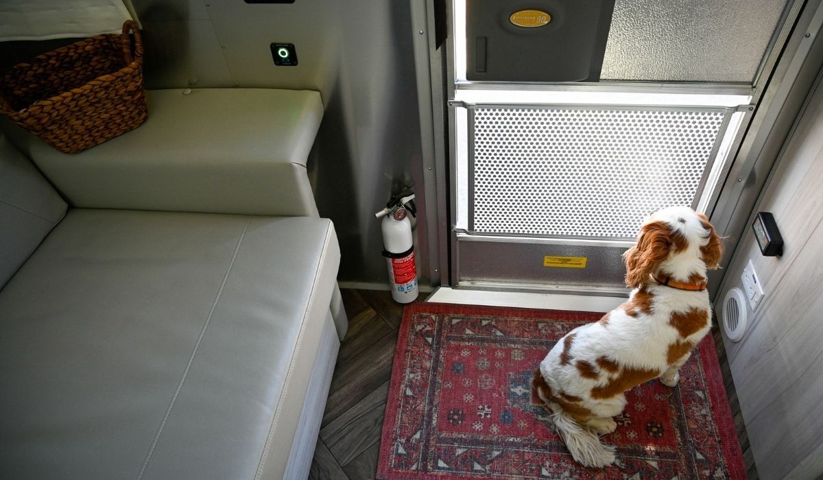 Benefits of Dog RV Temperature Monitor