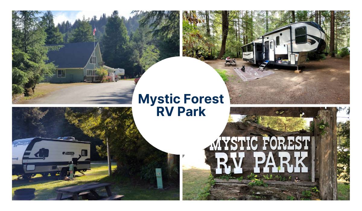 Best Campgrounds In Northern California