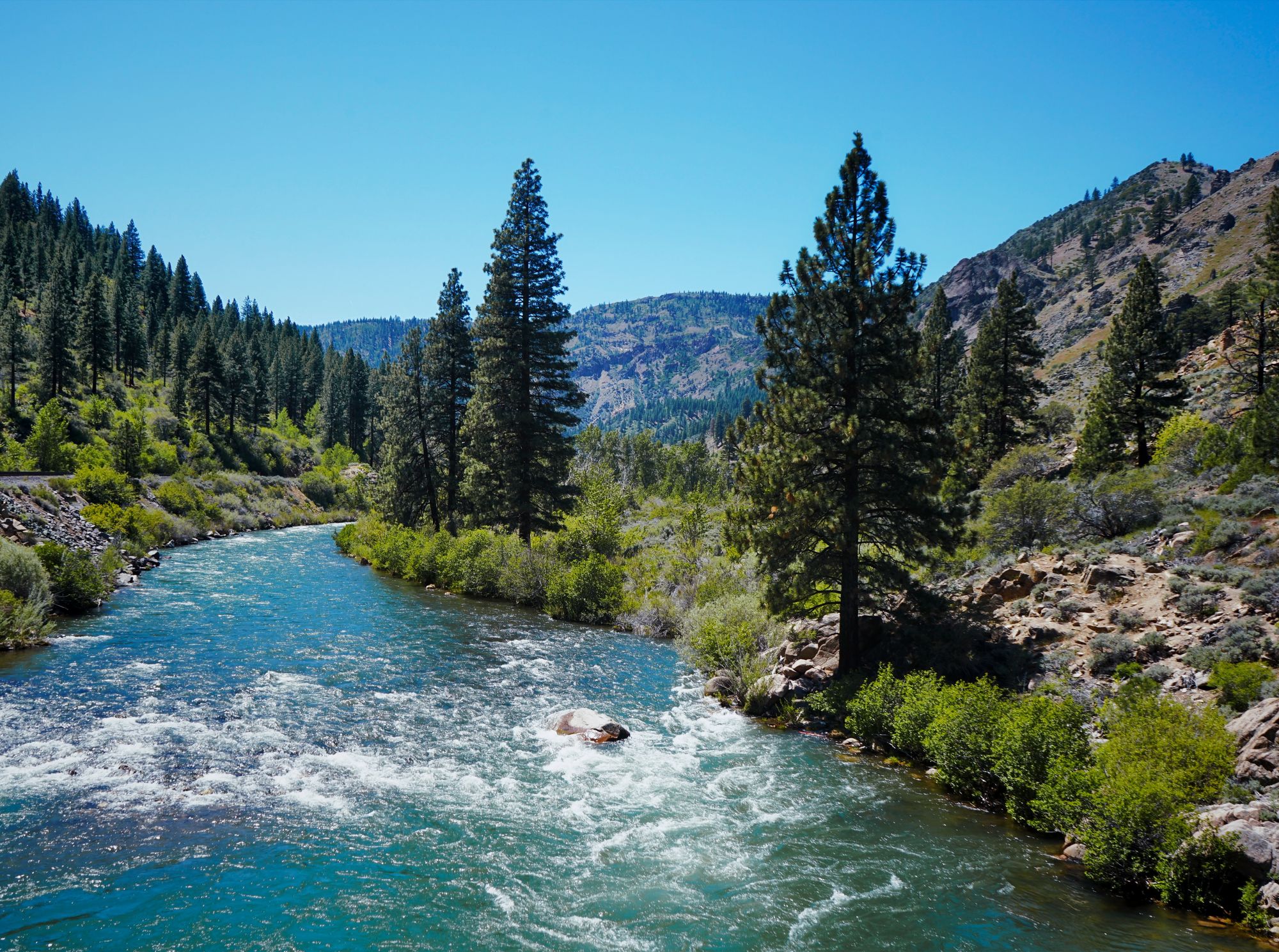 California RV Owner? Here's What Your First Summer on RVezy Could Look Like