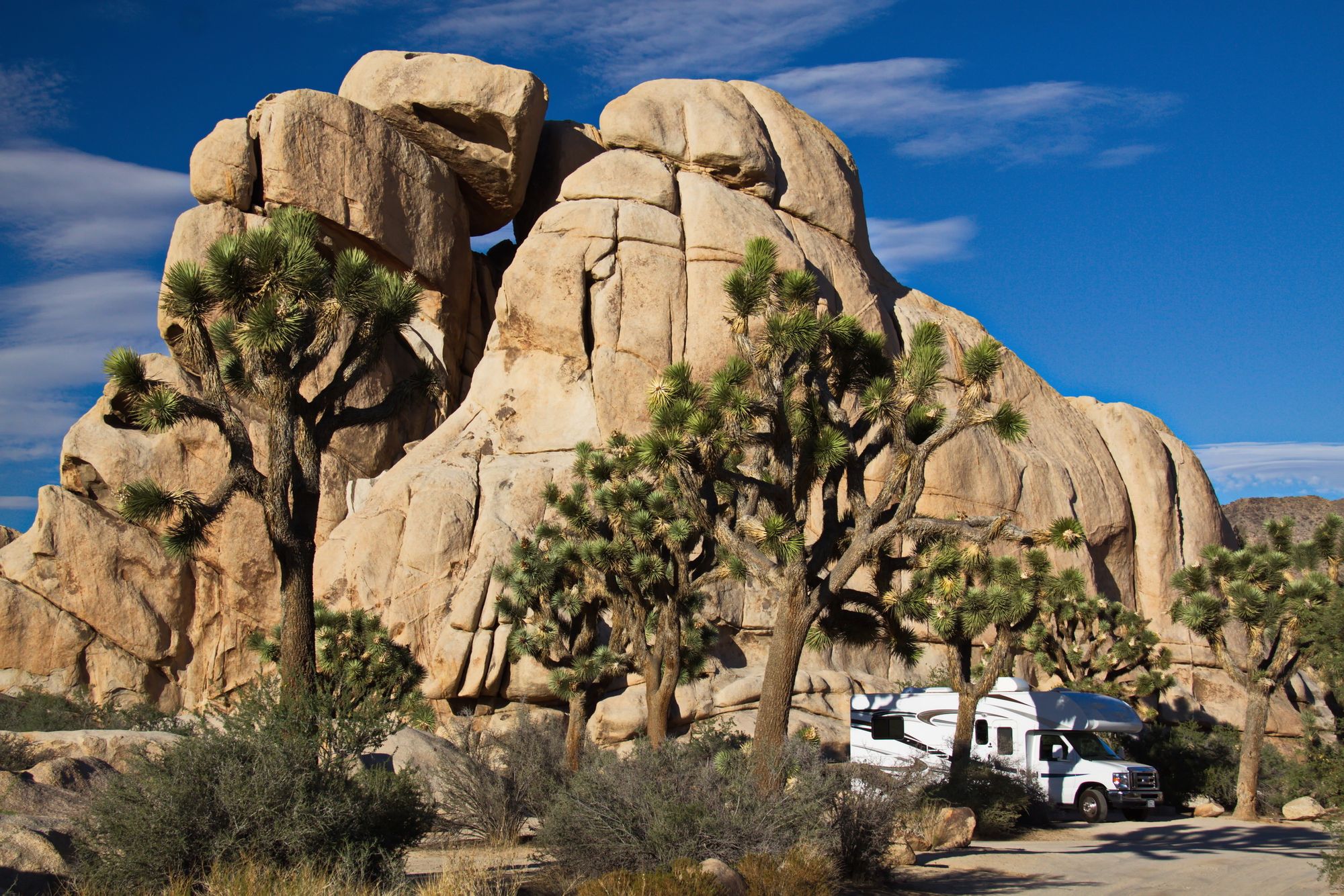 Joshua Tree by RV — California's Most Magical Desert Road Trip