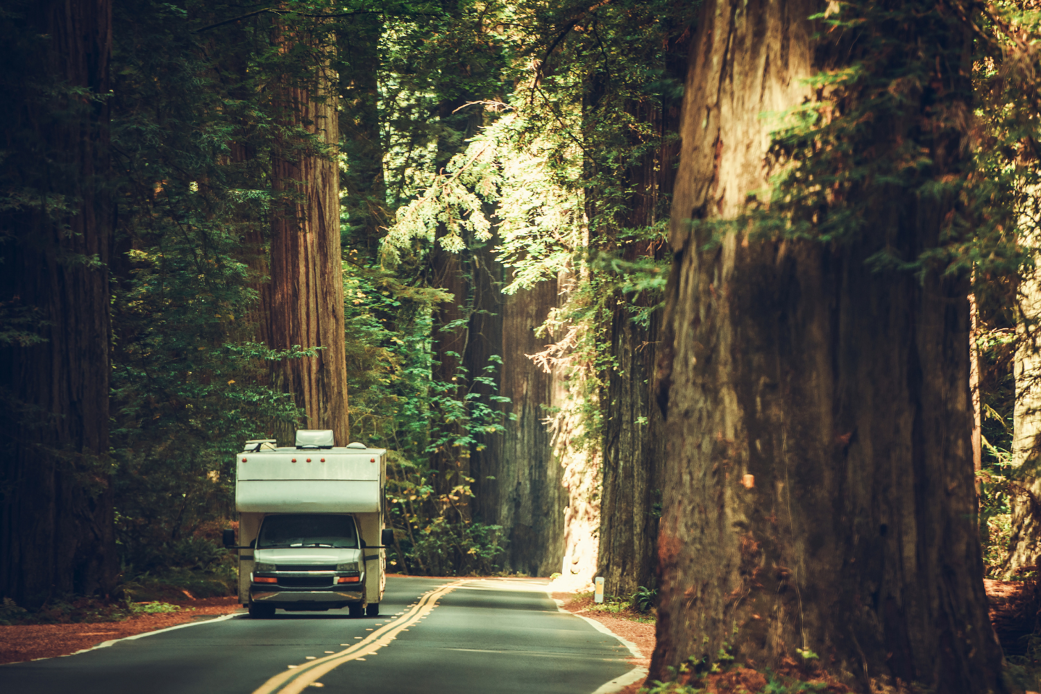 5 Reasons California RV Owners Choose RVezy Over Every Other Platform